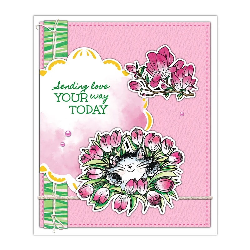 سونكرافت طوابع شفافة بتصميم قط - مراجعة Clear Silicone Stamps For Card Making وسعره